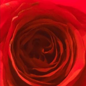 Meet your Posher, Desmond